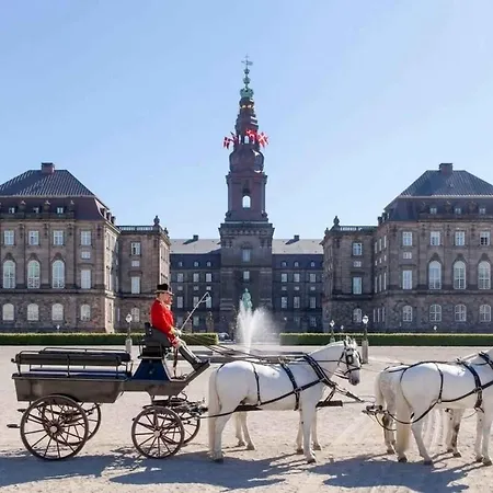 Large For Groups And Families كوبنهاجن