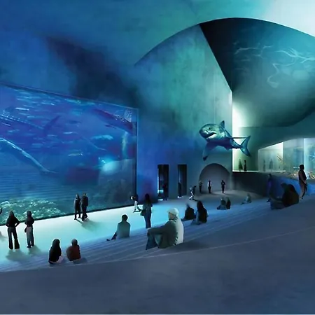 Large For Groups And Families *